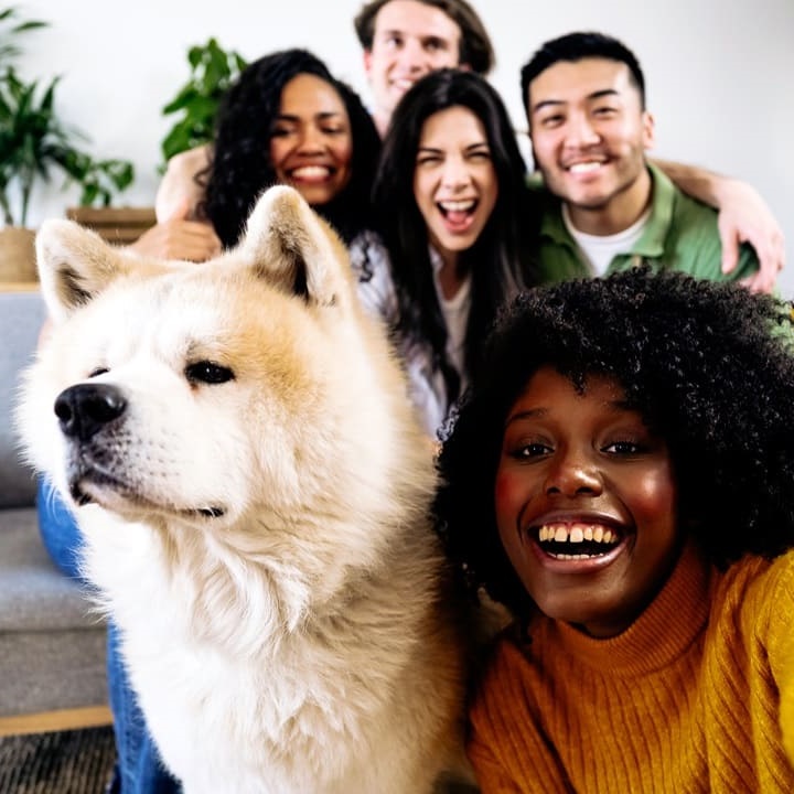 smiling-adults-and-their-beloved-pets - sq